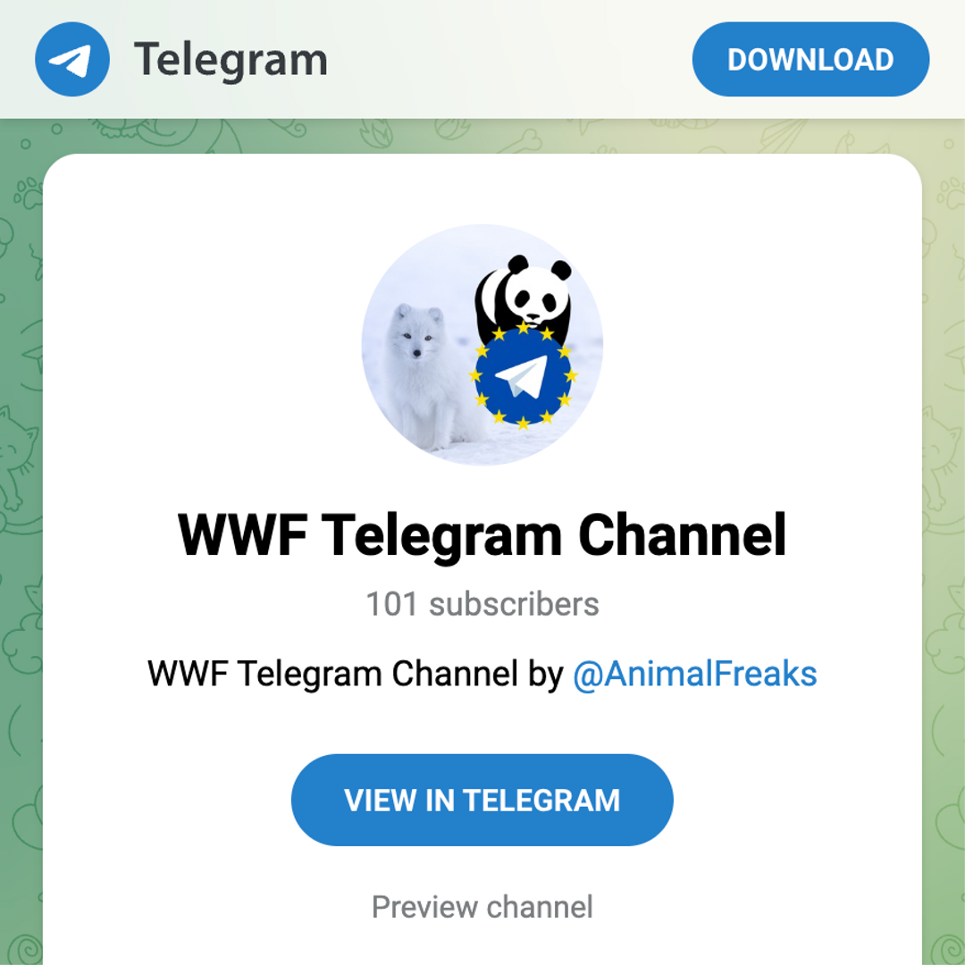 Followays tracking Telegram subscribers count